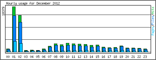 Hourly usage