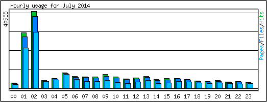 Hourly usage
