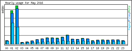 Hourly usage