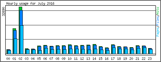 Hourly usage