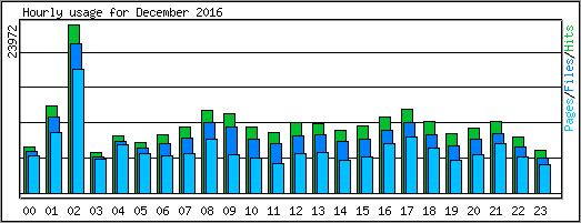 Hourly usage