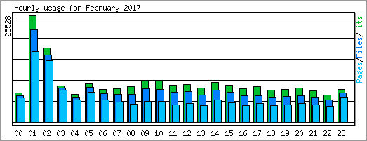Hourly usage