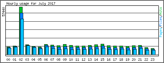 Hourly usage