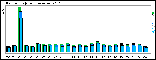 Hourly usage