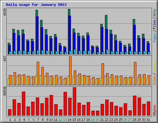 Daily usage for January 2013