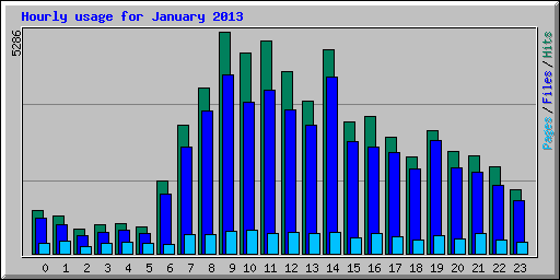 Hourly usage for January 2013