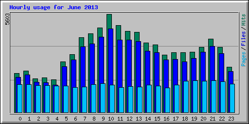 Hourly usage for June 2013