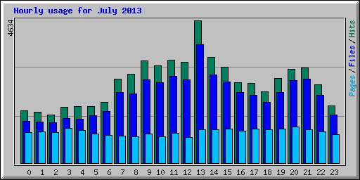 Hourly usage for July 2013