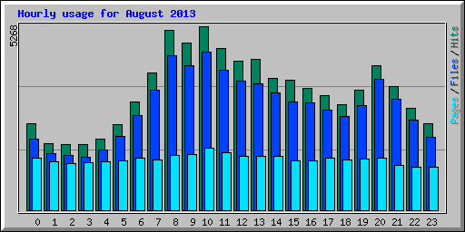 Hourly usage for August 2013