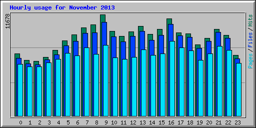 Hourly usage for November 2013