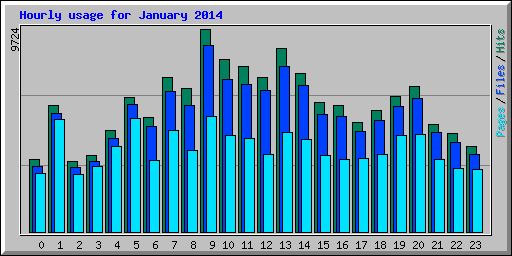 Hourly usage for January 2014