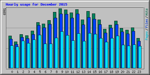 Hourly usage for December 2015