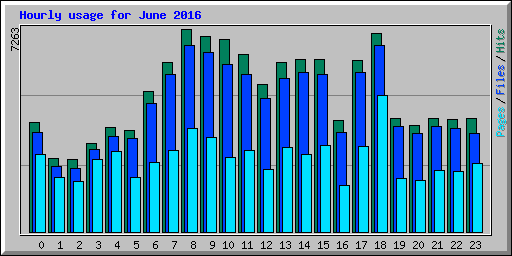 Hourly usage for June 2016