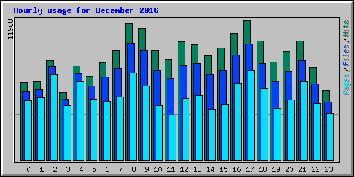 Hourly usage for December 2016